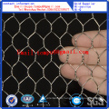 Hexagonal Wire Mesh PVC and Galvanized